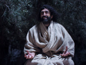 Jezus ogród Getsemane